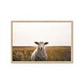 Picture of One and Only _GroupedProduct_Rectangle_Landscape_Photography _GroupedProduct_Rectangle_Landscape_Framed_Matted_