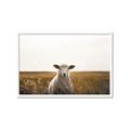 Picture of One and Only _GroupedProduct_Rectangle_Landscape_Photography _GroupedProduct_Rectangle_Landscape_Framed_Matted_