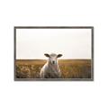 Picture of One and Only _GroupedProduct_Rectangle_Landscape_Photography _GroupedProduct_Rectangle_Landscape_Framed_Matted_