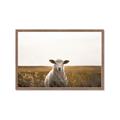 Picture of One and Only _GroupedProduct_Rectangle_Landscape_Photography _GroupedProduct_Rectangle_Landscape_Framed_Matted_