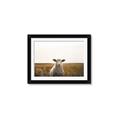 Picture of One and Only _GroupedProduct_Rectangle_Landscape_Photography _GroupedProduct_Rectangle_Landscape_Framed_Matted_