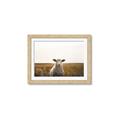Picture of One and Only _GroupedProduct_Rectangle_Landscape_Photography _GroupedProduct_Rectangle_Landscape_Framed_Matted_
