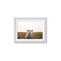 Picture of One and Only _GroupedProduct_Rectangle_Landscape_Photography _GroupedProduct_Rectangle_Landscape_Framed_Matted_