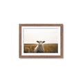 Picture of One and Only _GroupedProduct_Rectangle_Landscape_Photography _GroupedProduct_Rectangle_Landscape_Framed_Matted_