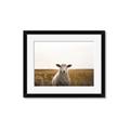 Picture of One and Only _GroupedProduct_Rectangle_Landscape_Photography _GroupedProduct_Rectangle_Landscape_Framed_Matted_