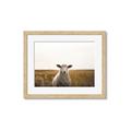 Picture of One and Only _GroupedProduct_Rectangle_Landscape_Photography _GroupedProduct_Rectangle_Landscape_Framed_Matted_