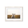 Picture of One and Only _GroupedProduct_Rectangle_Landscape_Photography _GroupedProduct_Rectangle_Landscape_Framed_Matted_
