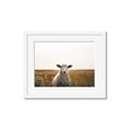 Picture of One and Only _GroupedProduct_Rectangle_Landscape_Photography _GroupedProduct_Rectangle_Landscape_Framed_Matted_