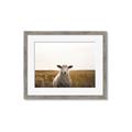 Picture of One and Only _GroupedProduct_Rectangle_Landscape_Photography _GroupedProduct_Rectangle_Landscape_Framed_Matted_