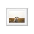Picture of One and Only _GroupedProduct_Rectangle_Landscape_Photography _GroupedProduct_Rectangle_Landscape_Framed_Matted_