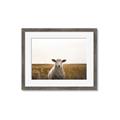 Picture of One and Only _GroupedProduct_Rectangle_Landscape_Photography _GroupedProduct_Rectangle_Landscape_Framed_Matted_