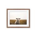Picture of One and Only _GroupedProduct_Rectangle_Landscape_Photography _GroupedProduct_Rectangle_Landscape_Framed_Matted_