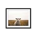 Picture of One and Only _GroupedProduct_Rectangle_Landscape_Photography _GroupedProduct_Rectangle_Landscape_Framed_Matted_