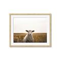 Picture of One and Only _GroupedProduct_Rectangle_Landscape_Photography _GroupedProduct_Rectangle_Landscape_Framed_Matted_