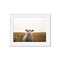 Picture of One and Only _GroupedProduct_Rectangle_Landscape_Photography _GroupedProduct_Rectangle_Landscape_Framed_Matted_