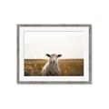 Picture of One and Only _GroupedProduct_Rectangle_Landscape_Photography _GroupedProduct_Rectangle_Landscape_Framed_Matted_