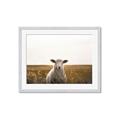 Picture of One and Only _GroupedProduct_Rectangle_Landscape_Photography _GroupedProduct_Rectangle_Landscape_Framed_Matted_