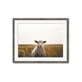Picture of One and Only _GroupedProduct_Rectangle_Landscape_Photography _GroupedProduct_Rectangle_Landscape_Framed_Matted_