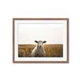 Picture of One and Only _GroupedProduct_Rectangle_Landscape_Photography _GroupedProduct_Rectangle_Landscape_Framed_Matted_