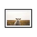 Picture of One and Only _GroupedProduct_Rectangle_Landscape_Photography _GroupedProduct_Rectangle_Landscape_Framed_Matted_
