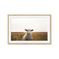 Picture of One and Only _GroupedProduct_Rectangle_Landscape_Photography _GroupedProduct_Rectangle_Landscape_Framed_Matted_