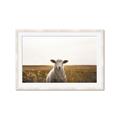 Picture of One and Only _GroupedProduct_Rectangle_Landscape_Photography _GroupedProduct_Rectangle_Landscape_Framed_Matted_