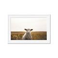 Picture of One and Only _GroupedProduct_Rectangle_Landscape_Photography _GroupedProduct_Rectangle_Landscape_Framed_Matted_