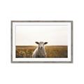 Picture of One and Only _GroupedProduct_Rectangle_Landscape_Photography _GroupedProduct_Rectangle_Landscape_Framed_Matted_