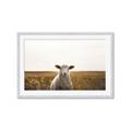 Picture of One and Only _GroupedProduct_Rectangle_Landscape_Photography _GroupedProduct_Rectangle_Landscape_Framed_Matted_