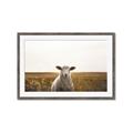 Picture of One and Only _GroupedProduct_Rectangle_Landscape_Photography _GroupedProduct_Rectangle_Landscape_Framed_Matted_