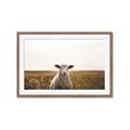Picture of One and Only _GroupedProduct_Rectangle_Landscape_Photography _GroupedProduct_Rectangle_Landscape_Framed_Matted_