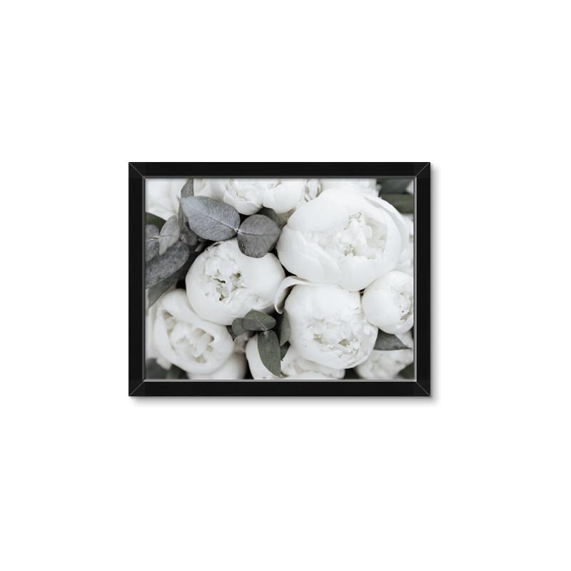 Picture of White Blooms _GroupedProduct_Rectangle_Landscape_Photography _GroupedProduct_Rectangle_Landscape_Framed_Matted_