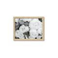 Picture of White Blooms _GroupedProduct_Rectangle_Landscape_Photography _GroupedProduct_Rectangle_Landscape_Framed_Matted_