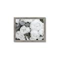 Picture of White Blooms _GroupedProduct_Rectangle_Landscape_Photography _GroupedProduct_Rectangle_Landscape_Framed_Matted_