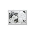 Picture of White Blooms _GroupedProduct_Rectangle_Landscape_Photography _GroupedProduct_Rectangle_Landscape_Framed_Matted_