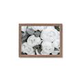 Picture of White Blooms _GroupedProduct_Rectangle_Landscape_Photography _GroupedProduct_Rectangle_Landscape_Framed_Matted_
