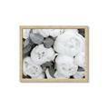 Picture of White Blooms _GroupedProduct_Rectangle_Landscape_Photography _GroupedProduct_Rectangle_Landscape_Framed_Matted_
