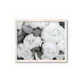 Picture of White Blooms _GroupedProduct_Rectangle_Landscape_Photography _GroupedProduct_Rectangle_Landscape_Framed_Matted_