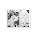 Picture of White Blooms _GroupedProduct_Rectangle_Landscape_Photography _GroupedProduct_Rectangle_Landscape_Framed_Matted_