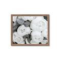 Picture of White Blooms _GroupedProduct_Rectangle_Landscape_Photography _GroupedProduct_Rectangle_Landscape_Framed_Matted_