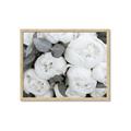 Picture of White Blooms _GroupedProduct_Rectangle_Landscape_Photography _GroupedProduct_Rectangle_Landscape_Framed_Matted_