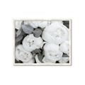 Picture of White Blooms _GroupedProduct_Rectangle_Landscape_Photography _GroupedProduct_Rectangle_Landscape_Framed_Matted_