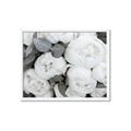 Picture of White Blooms _GroupedProduct_Rectangle_Landscape_Photography _GroupedProduct_Rectangle_Landscape_Framed_Matted_