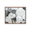 Picture of White Blooms _GroupedProduct_Rectangle_Landscape_Photography _GroupedProduct_Rectangle_Landscape_Framed_Matted_