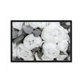 Picture of White Blooms _GroupedProduct_Rectangle_Landscape_Photography _GroupedProduct_Rectangle_Landscape_Framed_Matted_