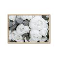 Picture of White Blooms _GroupedProduct_Rectangle_Landscape_Photography _GroupedProduct_Rectangle_Landscape_Framed_Matted_