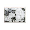 Picture of White Blooms _GroupedProduct_Rectangle_Landscape_Photography _GroupedProduct_Rectangle_Landscape_Framed_Matted_