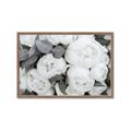 Picture of White Blooms _GroupedProduct_Rectangle_Landscape_Photography _GroupedProduct_Rectangle_Landscape_Framed_Matted_