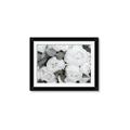 Picture of White Blooms _GroupedProduct_Rectangle_Landscape_Photography _GroupedProduct_Rectangle_Landscape_Framed_Matted_
