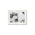 Picture of White Blooms _GroupedProduct_Rectangle_Landscape_Photography _GroupedProduct_Rectangle_Landscape_Framed_Matted_